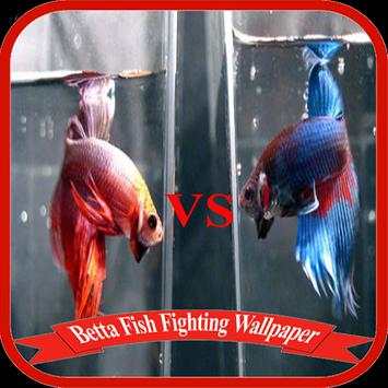 Betta Fish Fighting Game Wallpaper screenshot 4