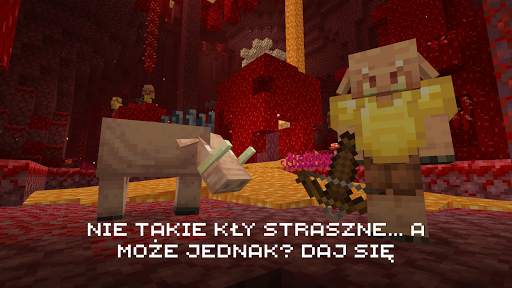 Minecraft screenshot 5