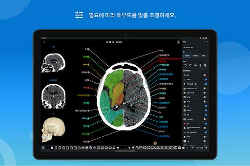 e-Anatomy screenshot 14