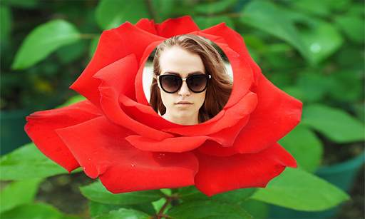 Rose Flower Photo Frames 2016 screenshot 14
