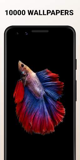 Free wallpapers screenshot 3