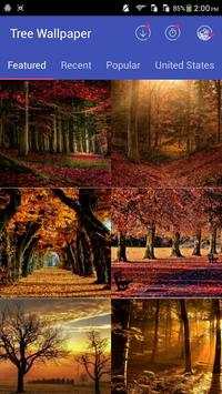 Beautiful Trees Wallpapers screenshot 6