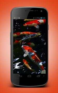 Koi Fish Live Wallpaper screenshot 2