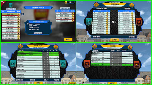 Street Cricket Championship screenshot 8