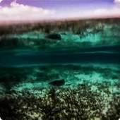 Lagoon Waves Live Wallpaper 4 4.0