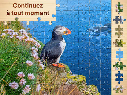 Puzzles - jeux de puzzle screenshot 10