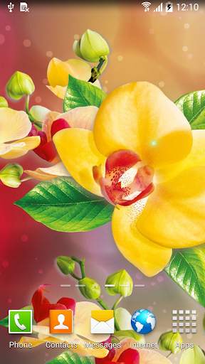 Orchids Wallpaper screenshot 5