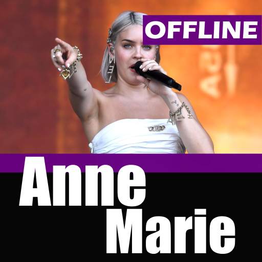 Anne-Marie - Friends OFFLINE MUSIC screenshot 2