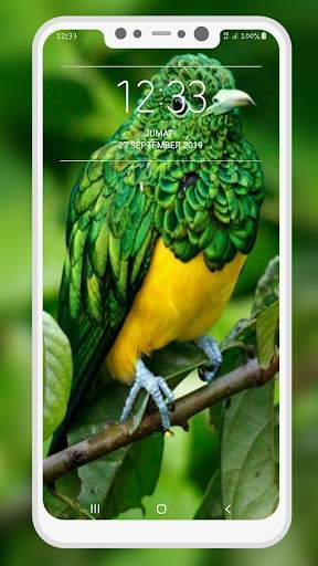 Bird Wallpaper 11 تصوير الشاشة