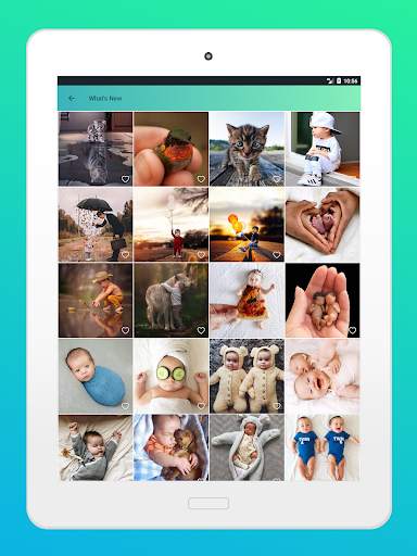 Status, Profile Picture & DP Images screenshot 11