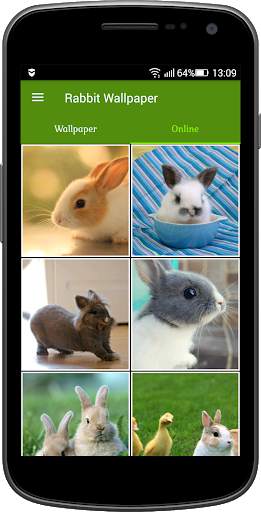 Rabbit Wallpaper screenshot 2