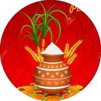 Augmented Reality Pongal Greetings icon