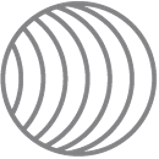 Losa Group icon