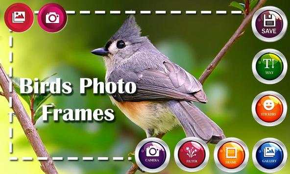 Birds HD Photo Frames and Live Wallpapers screenshot 7