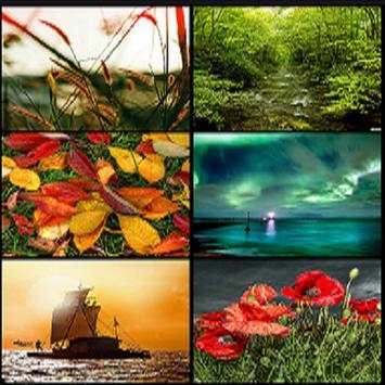 HD wallpaper download screenshot 1