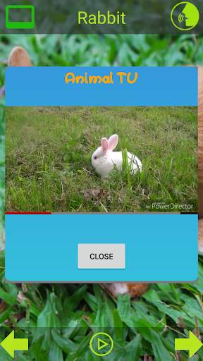 Animal Sounds Pictures screenshot 5