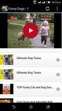 Free Funny Videos Top HD screenshot 5