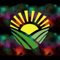 Shine Result icon