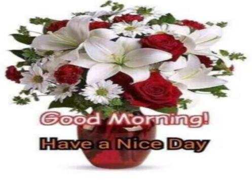 Good Morning Images Gif Animated Flower  Roses 4K screenshot 14