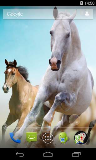 Horses Live Wallpaper screenshot 1