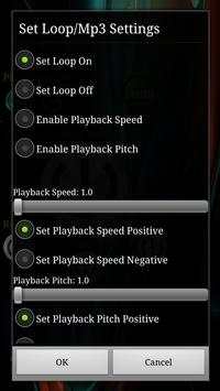 Mp3 Player/Digital Radio Player screenshot 4