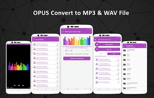 OPUS To MP3 & WAV Converter - Opus Player screenshot 2