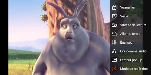 VLC for Android screenshot 7