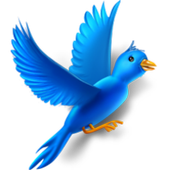 Birds Sounds اصوات الطيور icon