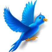 Birds Sounds اصوات الطيور 1.0