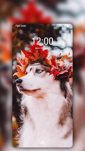 Husky Wallpaper screenshot 4