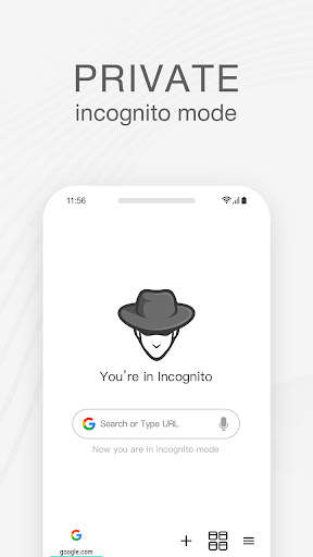 Incognito Browser screenshot 4