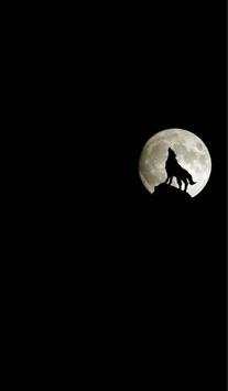 black Wallpapers screenshot 6