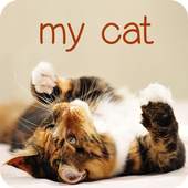 my cat 1.0