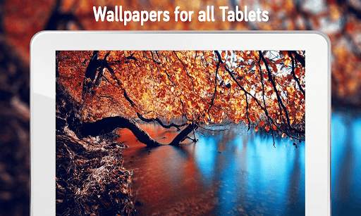 Autumn Wallpaper (4k) screenshot 6