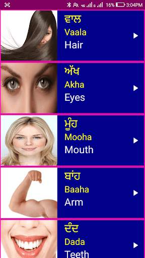 Learn Punjabi From English screenshot 6