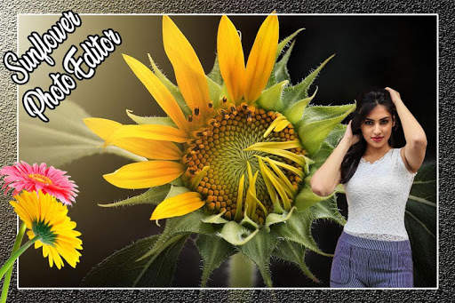 Sunflower Photo Editor 4 تصوير الشاشة