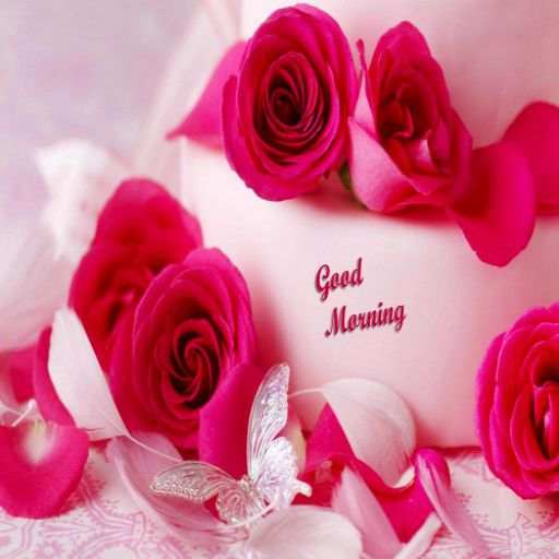 Morning and Night Wishes 11.20
