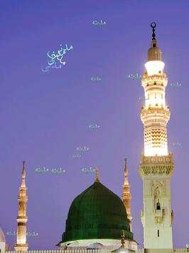 Madina Live Wallpapers screenshot 5