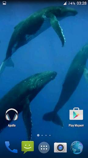 Whale 3D. Video wallpaper screenshot 4