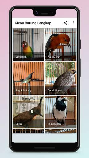 Kicau Burung Terlengkap screenshot 1