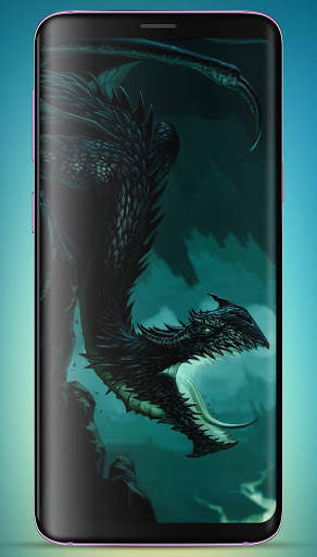 Dragon Wallpaper HD screenshot 12