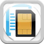 SIM   icon