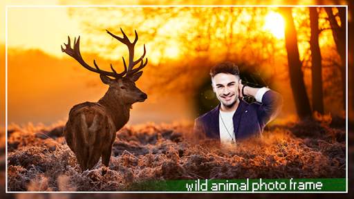 Wild Animal Photo Editor : Animal Photo Frames New screenshot 8