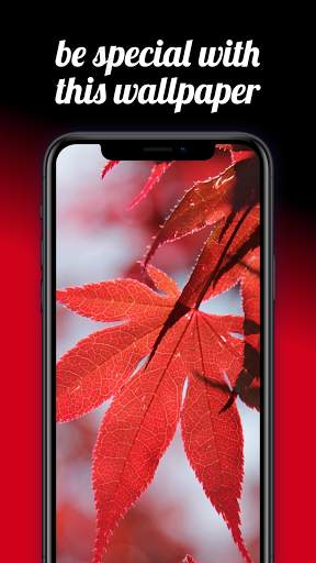 Red Wallpapers & Backgrounds HD screenshot 2