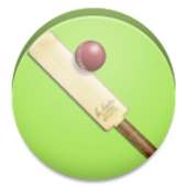 Casual Cricket logo