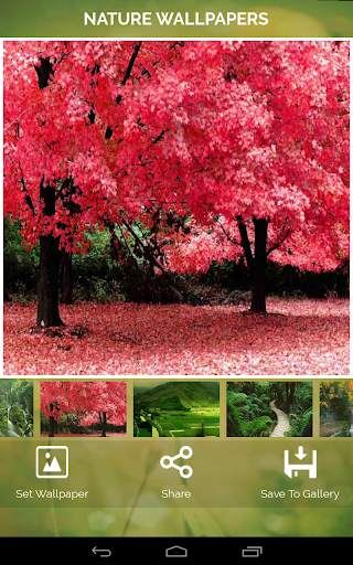 Nature Wallpapers screenshot 5