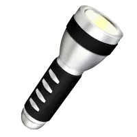 Torch (flashlight)