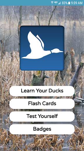 The Duck ID App screenshot 7