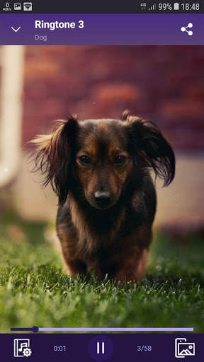Dog - RINGTONES and WALLPAPERS screenshot 3