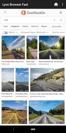 Lyon Browser Fast screenshot 1